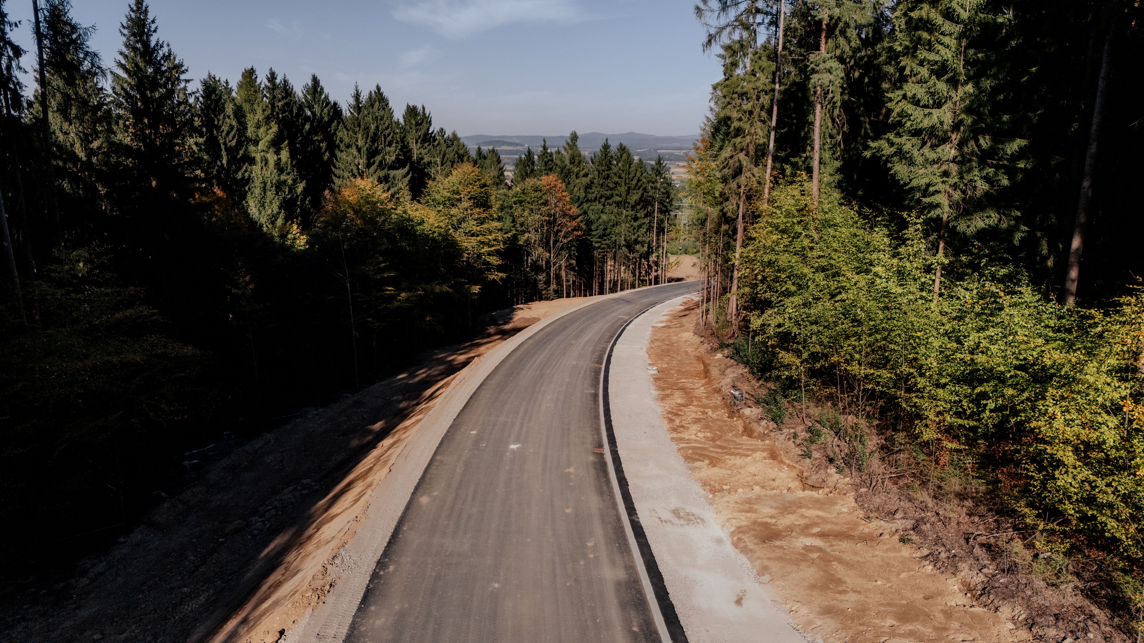 Frisch Asphaltierte Straße führt durch den Wald